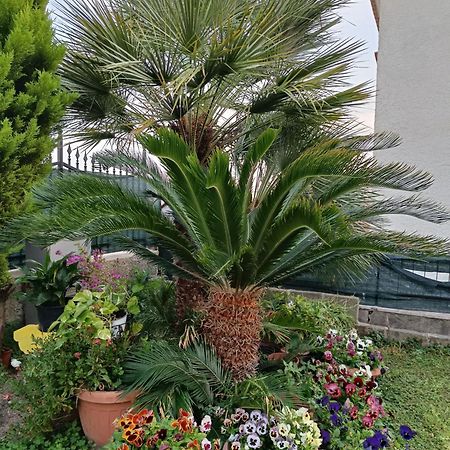 Bed And Breakfast Angolo Fiorito Civitavecchia Exterior foto