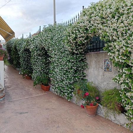 Bed And Breakfast Angolo Fiorito Civitavecchia Exterior foto