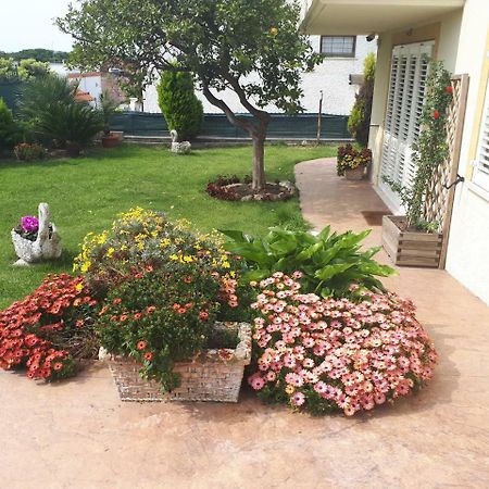 Bed And Breakfast Angolo Fiorito Civitavecchia Exterior foto
