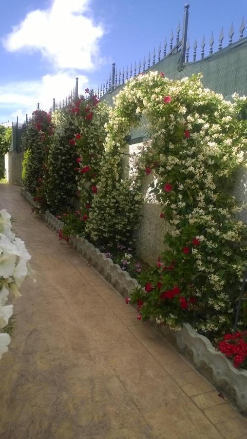 Bed And Breakfast Angolo Fiorito Civitavecchia Exterior foto
