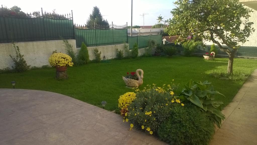 Bed And Breakfast Angolo Fiorito Civitavecchia Exterior foto