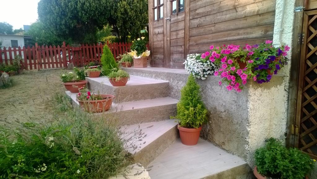 Bed And Breakfast Angolo Fiorito Civitavecchia Exterior foto