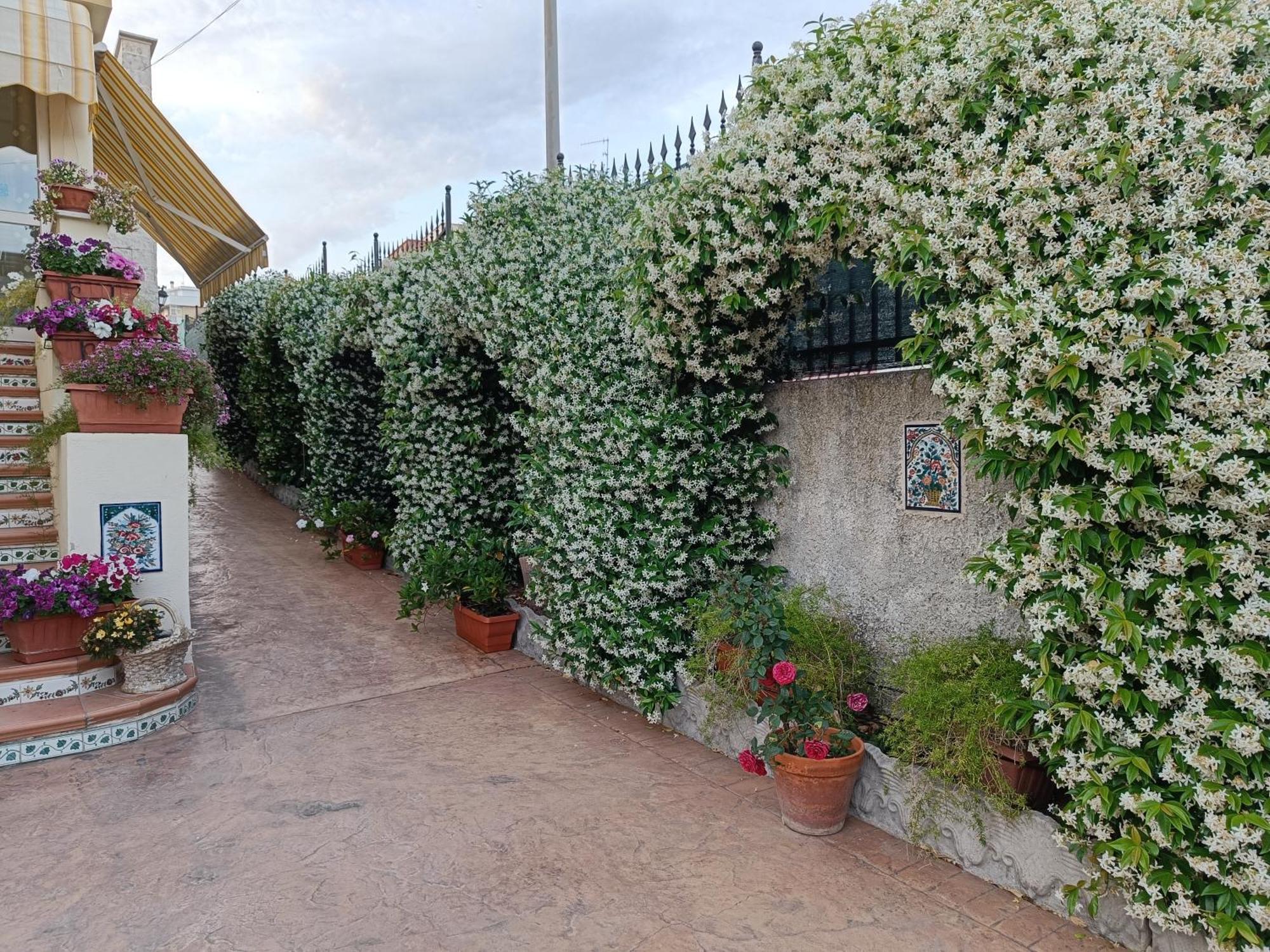 Bed And Breakfast Angolo Fiorito Civitavecchia Exterior foto