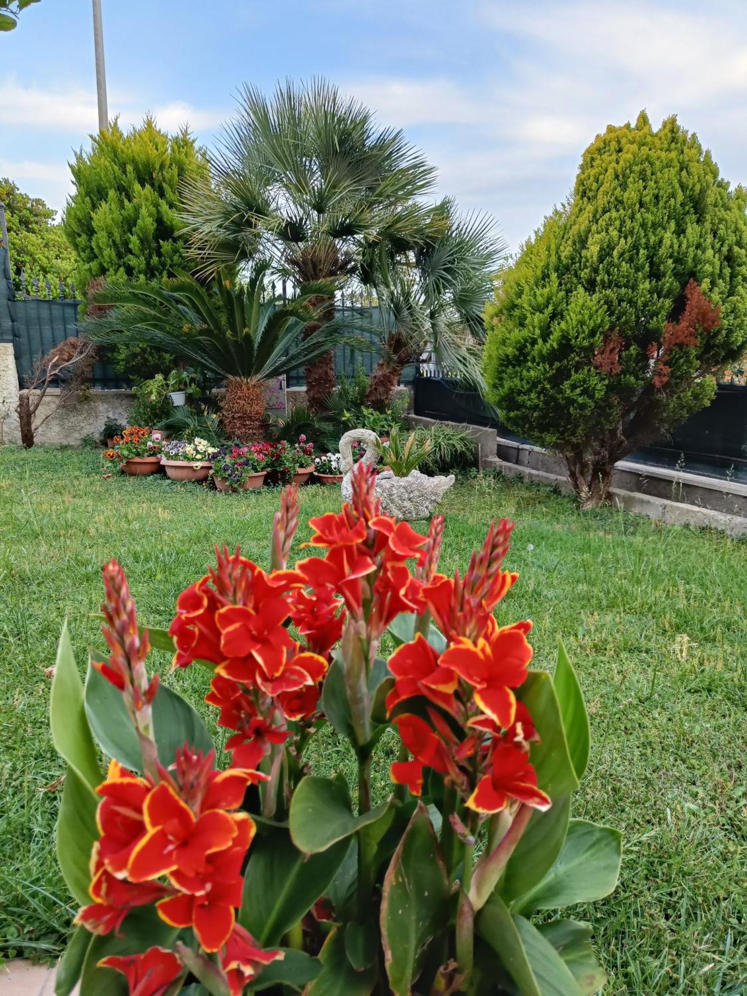 Bed And Breakfast Angolo Fiorito Civitavecchia Exterior foto