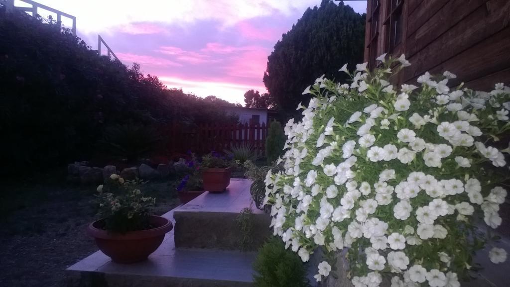 Bed And Breakfast Angolo Fiorito Civitavecchia Exterior foto