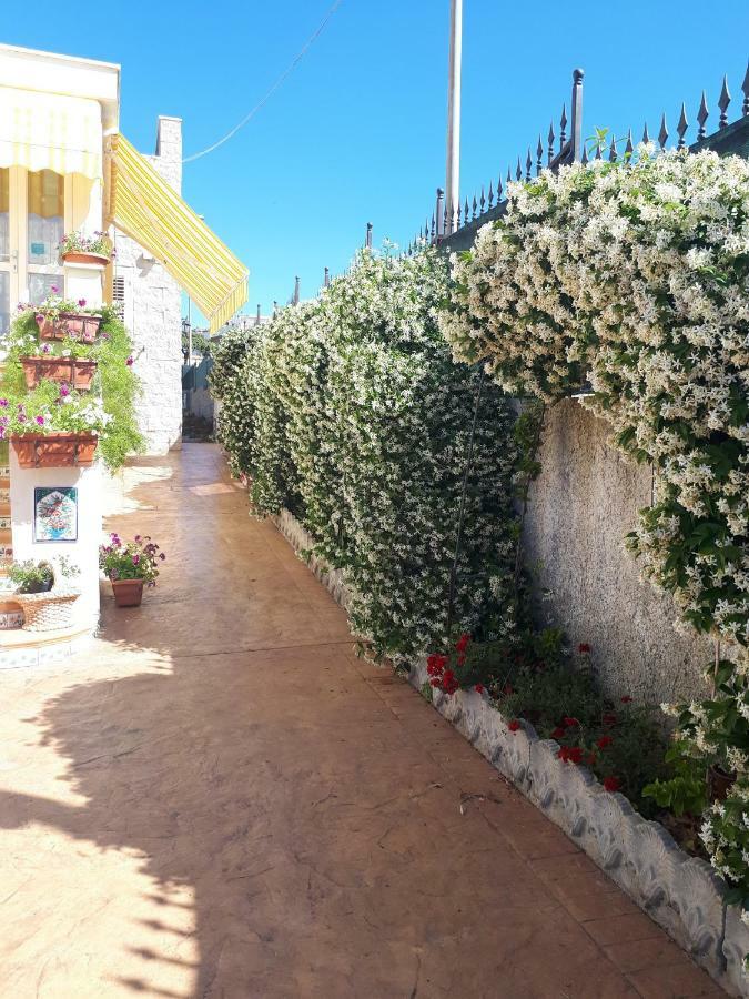 Bed And Breakfast Angolo Fiorito Civitavecchia Exterior foto